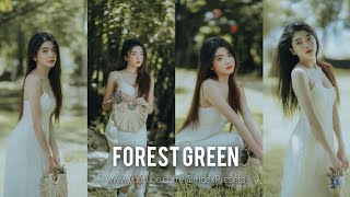 Forest Green Lightroom Preset | Free Lightroom Preset | Index Presets.