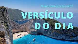 Versículo do Dia | Colossenses 1: 16 e 17 | NINGUÉM EXPLICA DEUS | O que Deus quer pra mim?