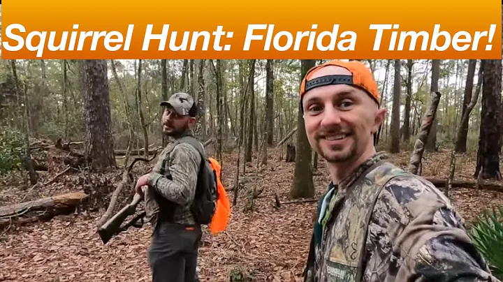 Public Land Squirrel Hunting with a Shotgun | Action in the Hardwoods!