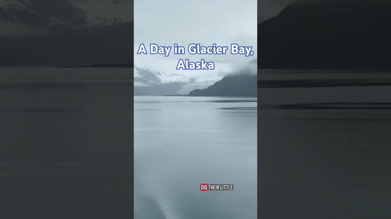 What to Expect in Glacier Bay National Park (Holland America Cruise)