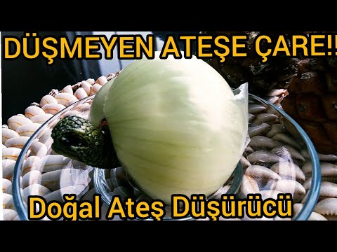 Bu Sebzeyi Ayağının Altına Sür 5 DAKİKADA Ateşin Düşsün/Doğal Ateş Düşürücü