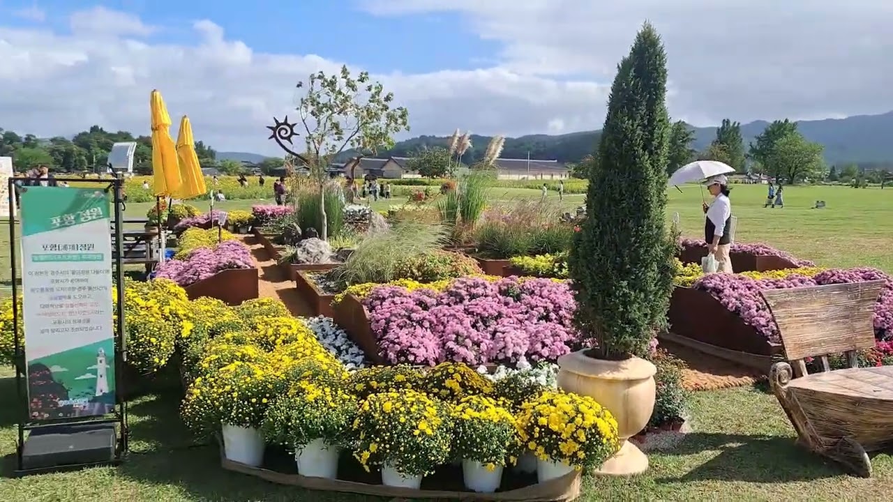 251009첨성대 일원