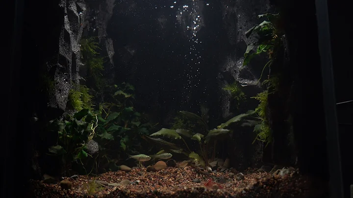 Making a Foam Cave with Waterfall in Paludarium l DIY l stepbystep