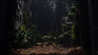 Making a Foam Cave with Waterfall in Paludarium l DIY l stepbystep