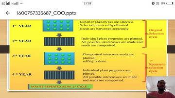 Recurrent selection and it