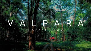 വാൽപ്പാറ കാടിനുള്ളിൽ താമസിക്കാം | Valparai Forest Stay | 4K UHD