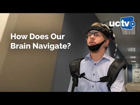 How Does Our Brain Navigate?
