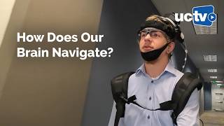 Full How Does Our Brain Navigate News