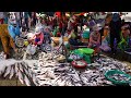 Cambodian Fish Market Show @Kilo 9 - Amazing Site Distribute Rural Fish, Alive Fish, Seafood &amp; More