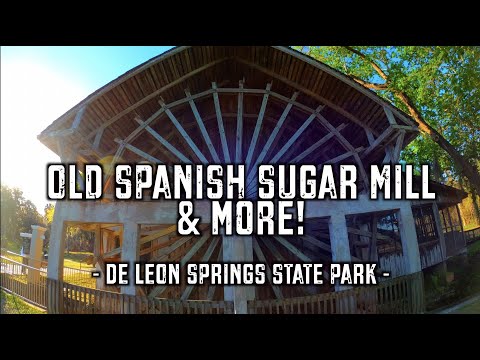 The Wonders of De Leon Springs - Old Spanish Sugar Mill, Monkey Island, Old Methuselah, & More!