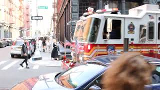 FDNY Engine 219 (Acting 55) Taking up from food on stove with FDNY Ladder 8.