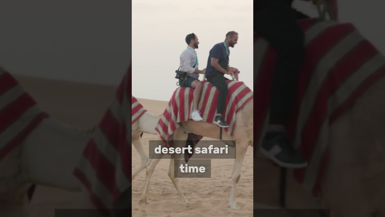 Things to do when visiting Dubai