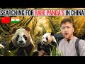 A DAY INSIDE RARE PANDA OBSERVATION CAMP IN CHINA