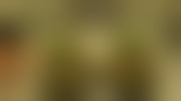 Mars hydro TSW 2000  Mirage clones from dark heart nursury