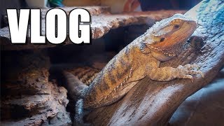 My Nightly Animal Routine  Vlog 30