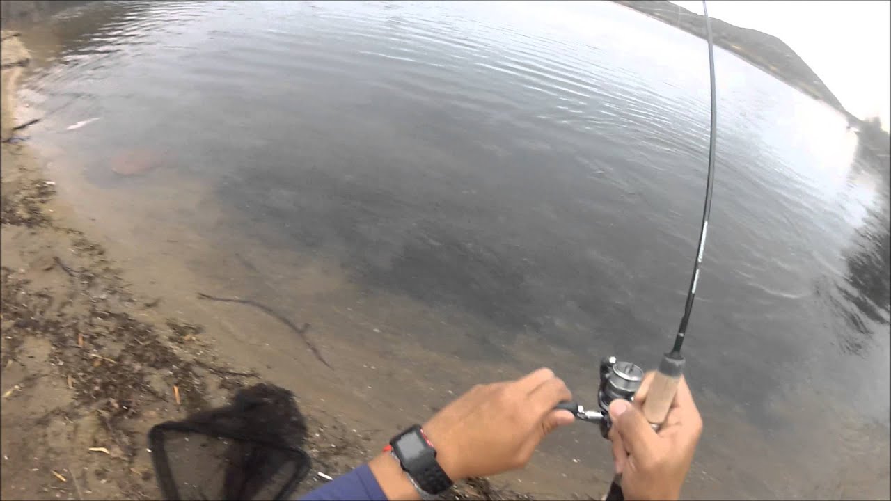 Lake Poway Trout Fishing YouTube