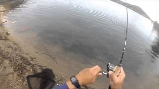 Lake Poway Trout Fishing