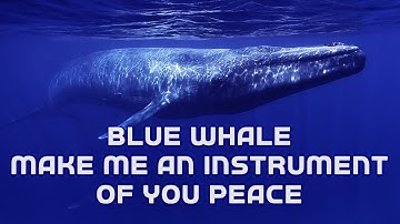 Blue Whale make me an instrument of your Peace