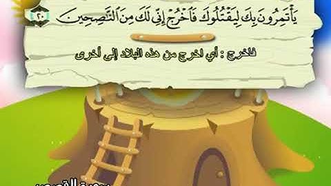 المصحف المعلم - محمد صديق المنشاوي 28. سورة القصص