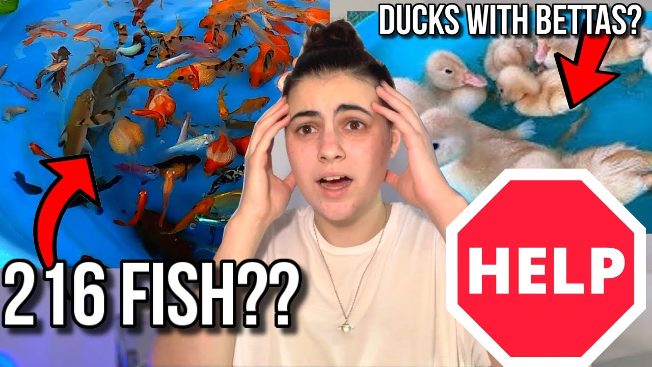 HELP! The WORST FISH  Channel EVER. . . (Reacting To Fish Abuse) 