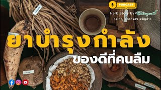 [Podcast] ยาบำรุงกำลัง ของดีที่คนลืม l ซีรีย์ยาไทย