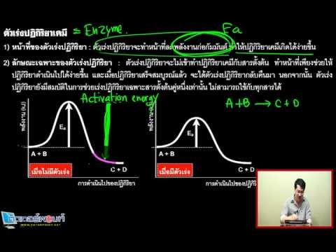 สอนเคมี : ปรับพื้นฐานเบสิกเคมี 10-3