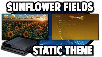 [PS4 THEMES] Sunflower Fields Theme Video in 60FPS