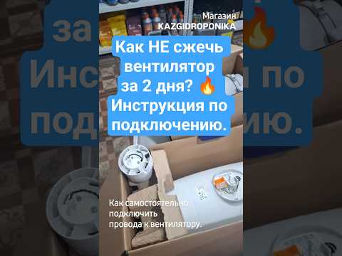 Видео на YouTube