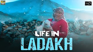 लेह लडाख में कैसे जिते है जीवन | Life In Ladakh | Indian Documentary