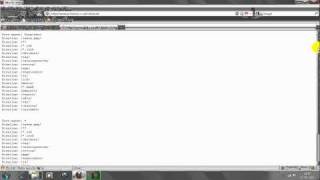 SEO Quake.avi