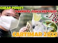 CARTIMAR PET SHOP LATEST PRICE LIST 2022 | PARROTS, FISH & REPTILES!