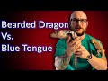 Bearded Dragon Vs Blue Tongue Skink | Which Is The Best Pet Lizard For You