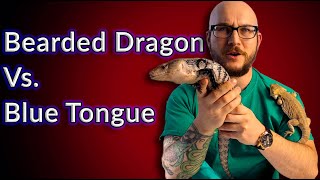 Bearded Dragon Vs Blue Tongue Skink | Which Is The Best Pet Lizard For You