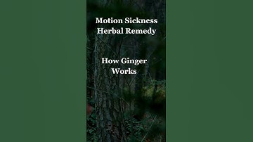 Ginger: Quick Motion Sickness Cure | 8-Second Remedy Insight