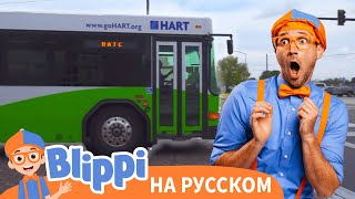 Песня Про Автобус | Блиппи на Русском | Изучай этот Мир вместе с Блиппи | Blippi