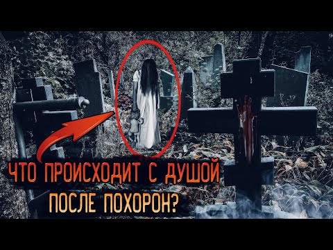 Записали ЭГФ на КЛАДБИЩЕ без ШУМОВ / Что происходит с душой после похорон?