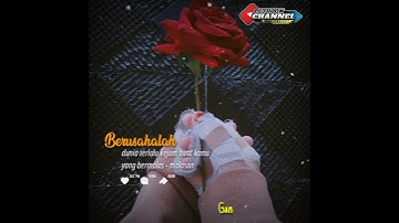 LEBU Story WA & IG Live ALVI ANANTA || Berusahalah