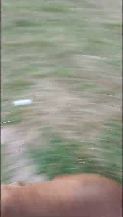 youtube.com