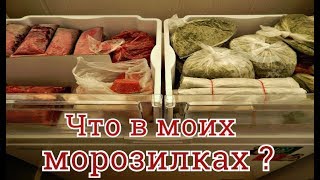 ЧТО ЛЕЖИТ В МОРОЗИЛКАХ УМЕЛОЙ ХОЗЯЙКИ