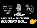 Abeille  apiculture aujourdhui biodiversit buckfast cycle de vie et communication podcast