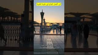 حبيبي محمد ﷺ العفاسي طريقي إلى الحرم حالات واتس #shorts