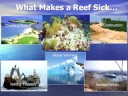 Coral Reef Presentation Video 1