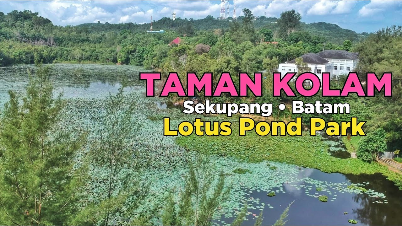 TAMAN KOLAM SEKUPANG BATAM 2020 Gratis | Sekupang Lotus Pond Park By ...