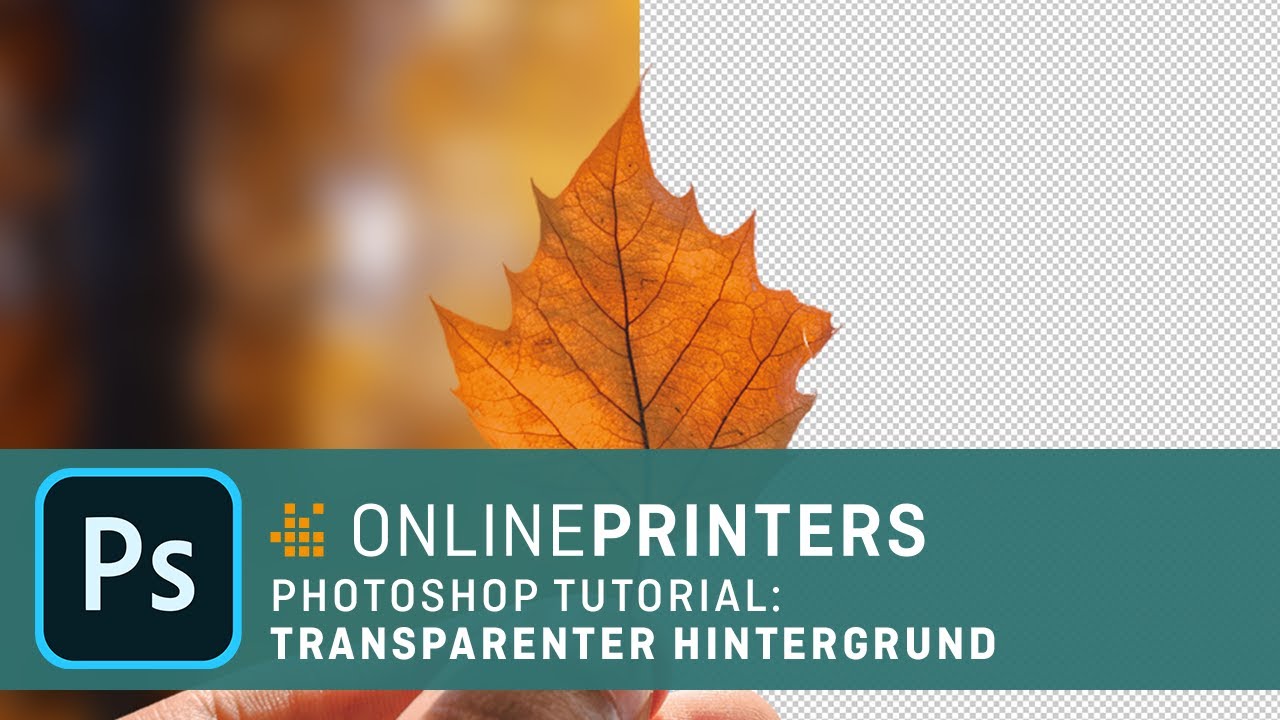 In Photoshop den Hintergrund transparent machen Basics Tutorial YouTube