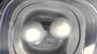 Egg Diffusion Demo 2