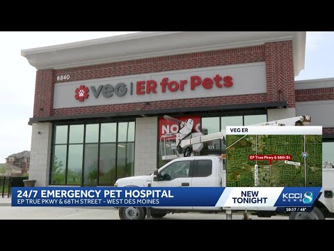 Veterinario 24 Horas Near Me Open Now