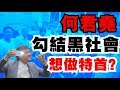 【7婆有幾西】之【不插不快】EP09 第九回 何君堯勾結黑社會想做特首？ #香港警察 #黑警 #打市民 #暴力 #清場  #林鄭月娥 #下台 #奶共 #藍屍 #中聯辦 #石鏡泉 #何君堯 #黑社會