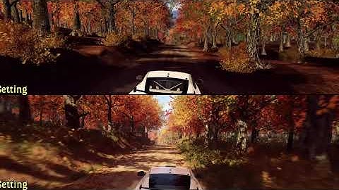 Split Screen Compare - Dirt Rally 2.0 - Lowest vs Highest Graphics Detail Setting