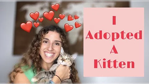 Adopting a CAT vlog ┋I adopted my first cat during quarantine // Just A Teenager