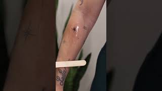 Spider Sticker Tattoo